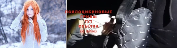 молекула духа Абинск