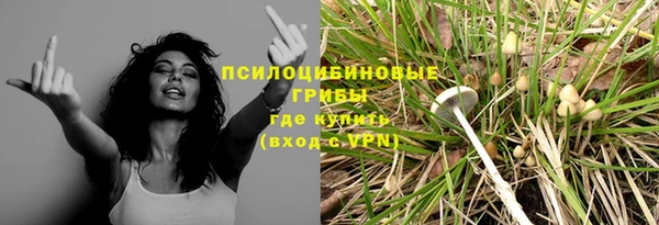 молекула духа Абинск