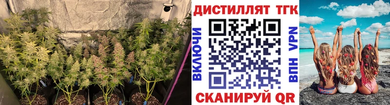 купить наркотики сайты  Нижний Ломов  ТГК вейп с тгк 